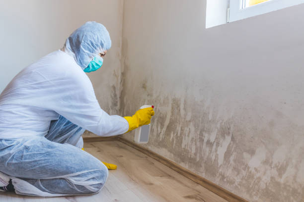 Crawl Space Mold Remediation treatment of floor joists in Drewryville