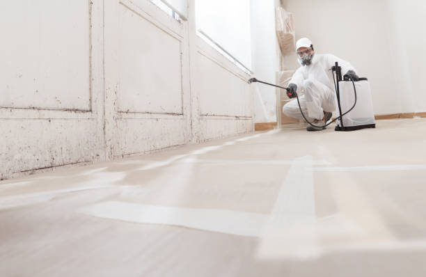 Black mold remediation team in Drewryville