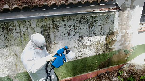 Mold Removal service in Drewryville